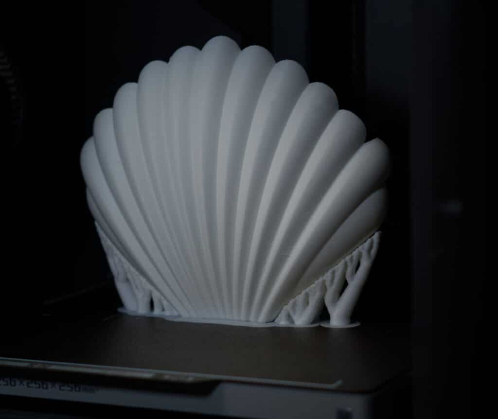 3D Druckprozess der Muschel